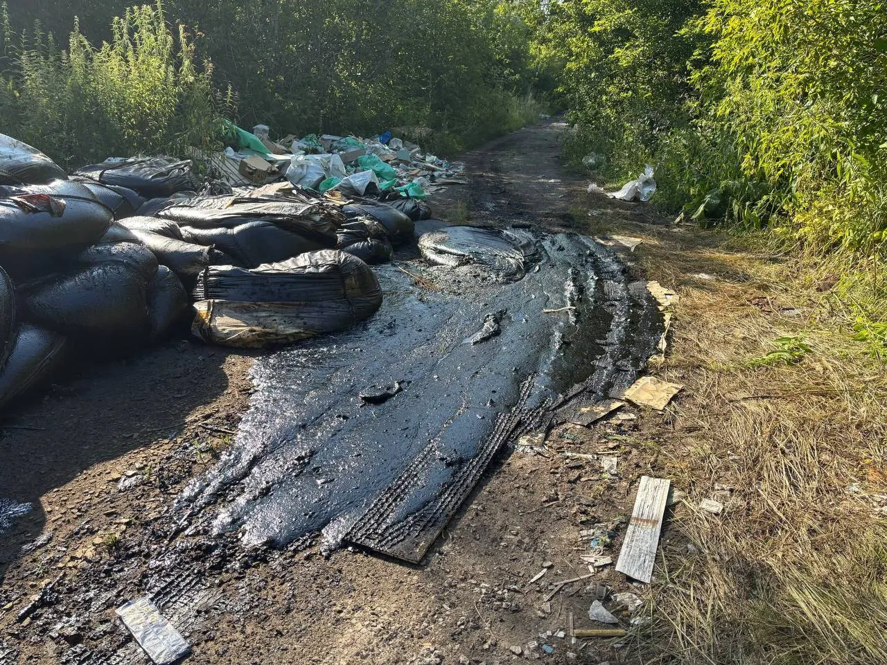 В Ленинском округе на дороге под ЛЭП найдена свалка с мешками битума, строительным мусором и свиными тушами; от неё распространяется сильный запах. Власти просят проверить ситуацию и организовать уборку.