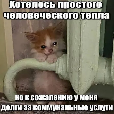 Суд подтвердил, что из платёжных документов нельзя взыскать задолженность по капремонту, срок исковой давности по которой истёк — три года. Решение защищает покупателей вторичного жилья и наследников.