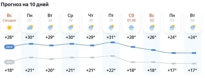 На следующей неделе омичей ждут тёплые дни и довольно продолжительные осадки — кое-где возможны грозы; дневная температура будет преимущественно выше +28 °C.