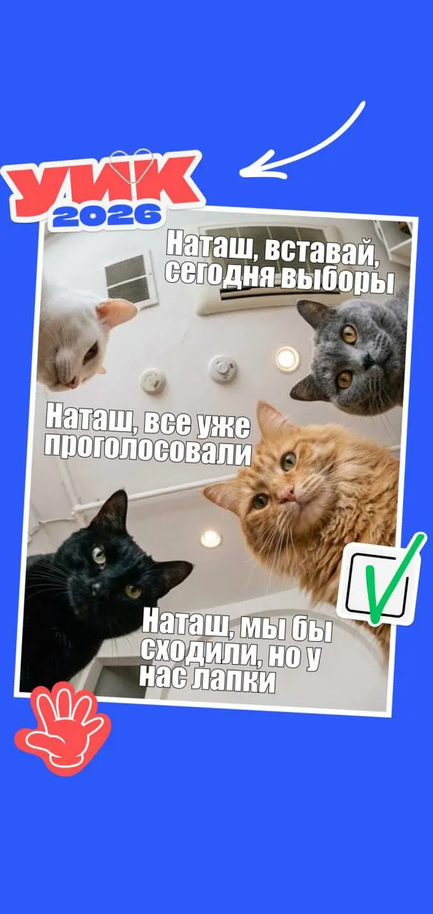 Краткая памятка: даты голосования, кто имеет право и какие документы брать с собой. И пара мемов, чтобы поднять настроение.