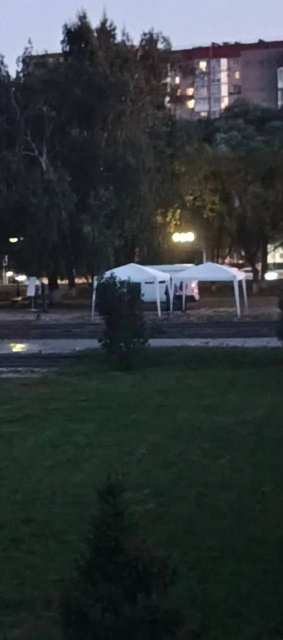 Перед презентацией нового пространства у Лебединого озера в Омске отремонтировали мостик, соседняя дорожка частично снята.