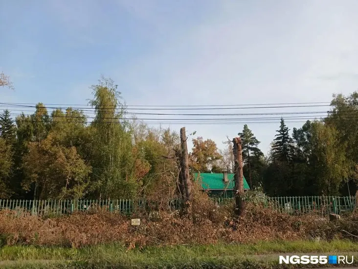 Работы ведутся на участке от путепровода до Бауцентра; подрядчик — АртРемстрой, контракт оценивается в 900 миллионов рублей. Спиливают деревья вдоль дороги, чтобы расширить проезжую часть.