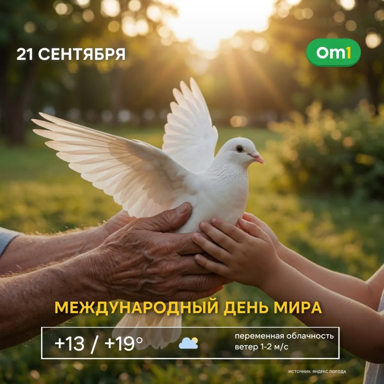 21 сентября во всем мире и в Омске проходят акции и образовательные мероприятия, призывающие к взаимопониманию, уважению и диалогу.