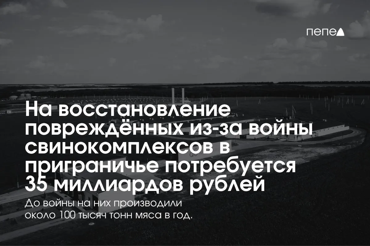 В Белгородской, Курской и Брянской областях планируется восстановить свинокомплексы после последствий обстрелов; затраты оцениваются в 35 млрд рублей.