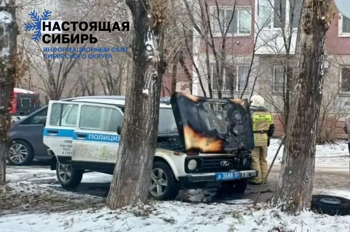 27-летний житель Омска получил 12 лет за поджог полицейской машины. Суд квалифицировал событие как террористический акт; срок разделён на часть в колонии и часть в тюрьме.