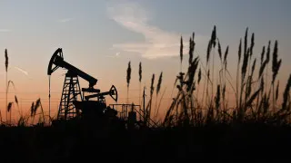 Доля нефтегазового сектора в экономике России опустилась до минимального уровня за последние годы: падают обороты и прибыль компаний, снижаются нефтегазовые доходы бюджета, а инвестиции в добычу проседают под давлением санкций и ограничений добычи.