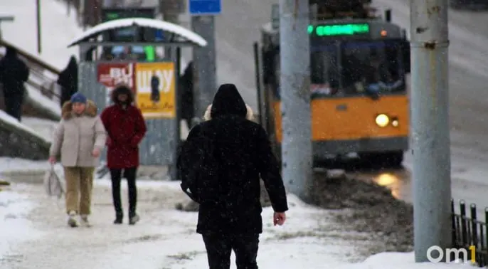 За апрель омские волонтёры «ЛизаАлерт» обработали 80 заявок: 59 человек найдены живыми, трое остаются пропавшими.