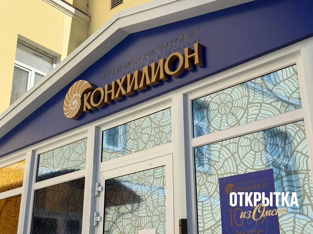 На Гагарина, 20 откроют необычное пространство, посвящённое морским раковинам и подводному миру. Основу экспозиции составила частная коллекция: более 22 тысяч раковин, 850 из них внесены в мировой реестр; официальное открытие запланировано на 16 мая в рамках «Ночи музеев».