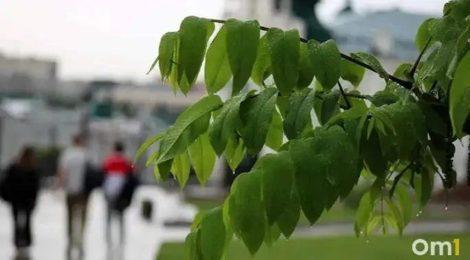 Синоптики прогнозируют до +24°C 2 мая, затем похолодание до +18°C и грозы в начале недели.