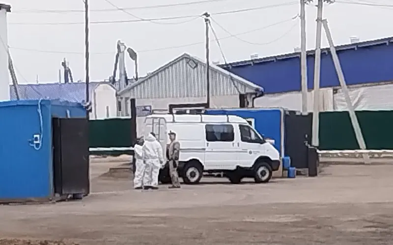 В Промышленновском округе Кемеровской области у агрокомплекса АО «Ваганово» выставили блокпосты и оцепили ферму — власти усилили санитарные меры и проводят обследование поголовья. Официально диагноз не уточняют.
