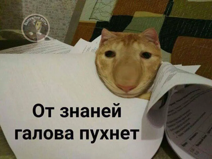 Министр спорта сообщил, что тестовый норматив по управлению небольшим дроном введут в этом году, а с следующего года за его выполнение можно будет получить знак ГТО и до 10 дополнительных баллов к итоговым экзаменам.