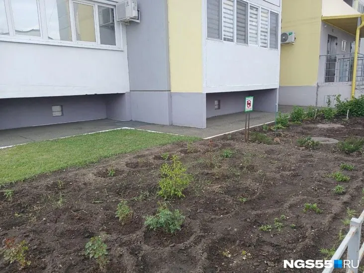 Жители многоквартирных домов всё чаще превращают придомовые территории в цветники и огороды. Эксперт по ЖКХ объясняет, как законно закрепить участки, о рисках для коммуникаций и какие растения нежелательны.