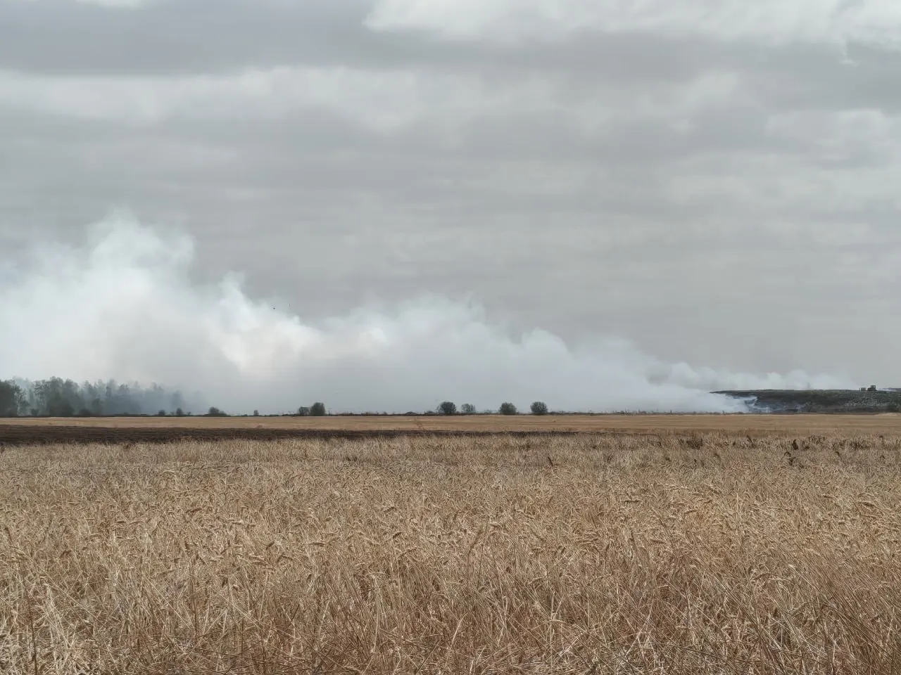 В Калачинске Омской области ночью загорелся мусорный полигон в нескольких сотнях метров от жилых домов. Огонь перекинулся на лес, дым мешает дыханию жителей; на тушении работают бульдозеры.