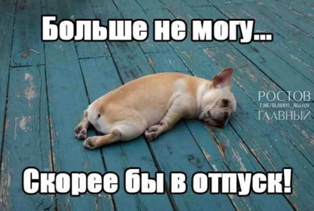В Госдуме внесли инициативу повысить минимальную продолжительность ежегодного оплачиваемого отпуска с 28 до 35 дней — чтобы компенсировать входящие в отпуск выходные и снизить риск профессионального выгорания.