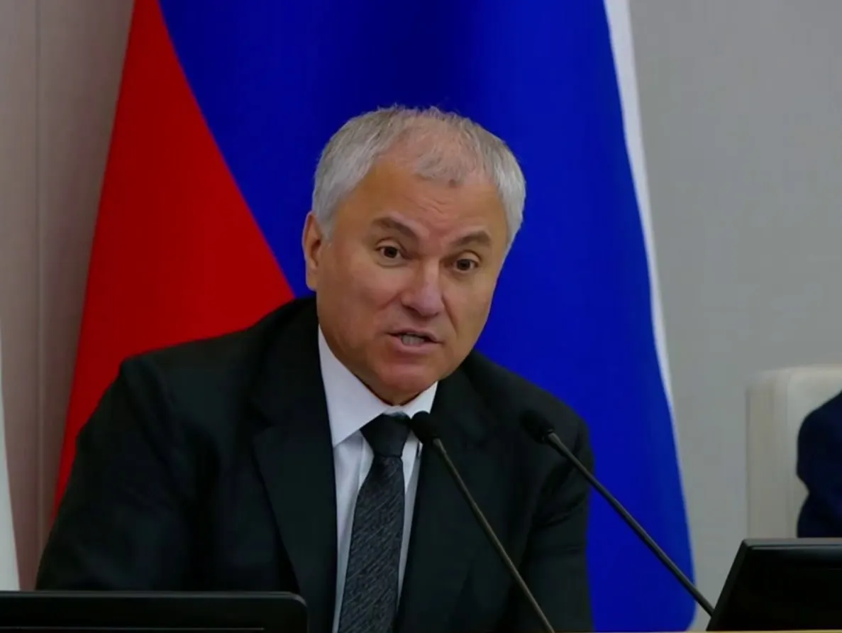 Депутаты расширили перечень мероприятий профилактики правонарушений, включив в него противодействие фальсификации истории и предупреждение уклонения от исполнения обязанностей по защите Отечества. В документе это связывают с защитой «традиционных ценностей» и «национальной безопасности».
