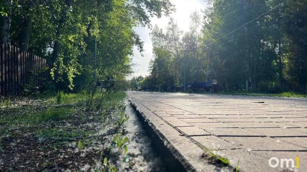 Белые клочья пуха появились в разных районах города уже после майских праздников — аллергикам и родителям стоит соблюдать осторожность.