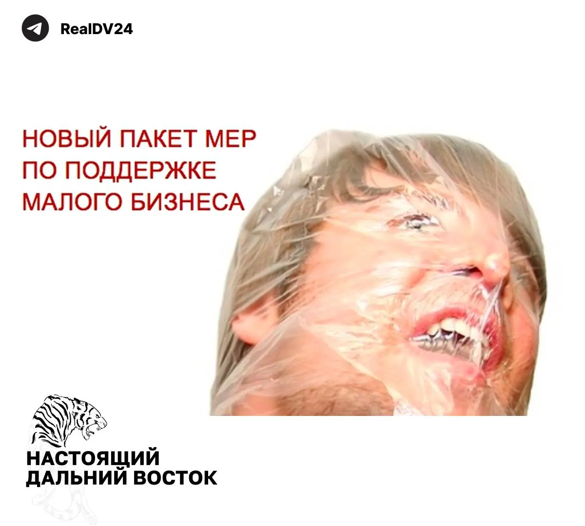 Федеральная налоговая служба направила регионам рекомендации по увеличению налоговых поступлений: расширение налогообложения недвижимости, повышение транспортного и земельного налогов, пересмотр льгот и активный учёт земельных участков.