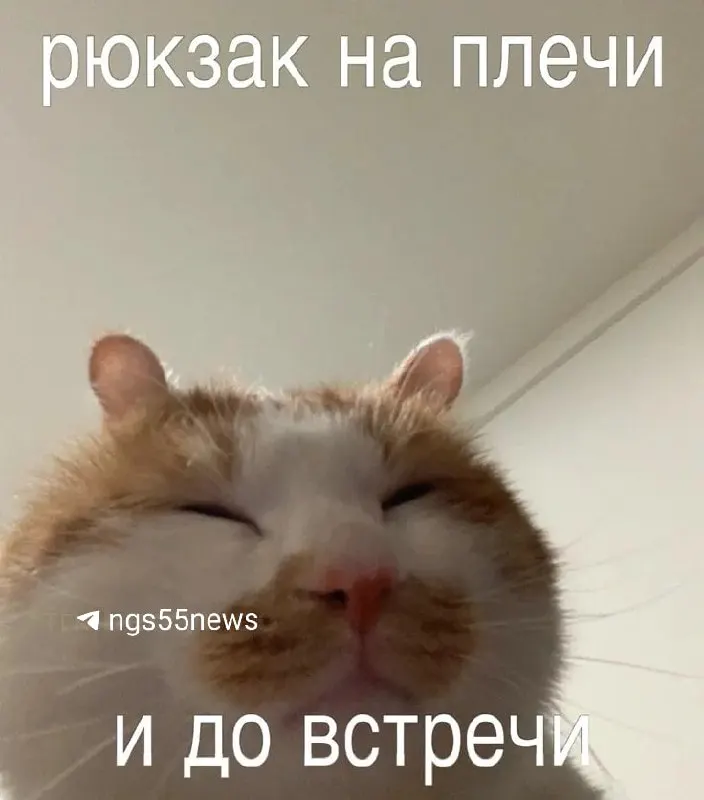 Причины — миграция и естественная убыль. На 1 января 2025 года в регионе проживали 1 805 806 человек: 1 336 612 в городах и 469 194 в сельской местности.