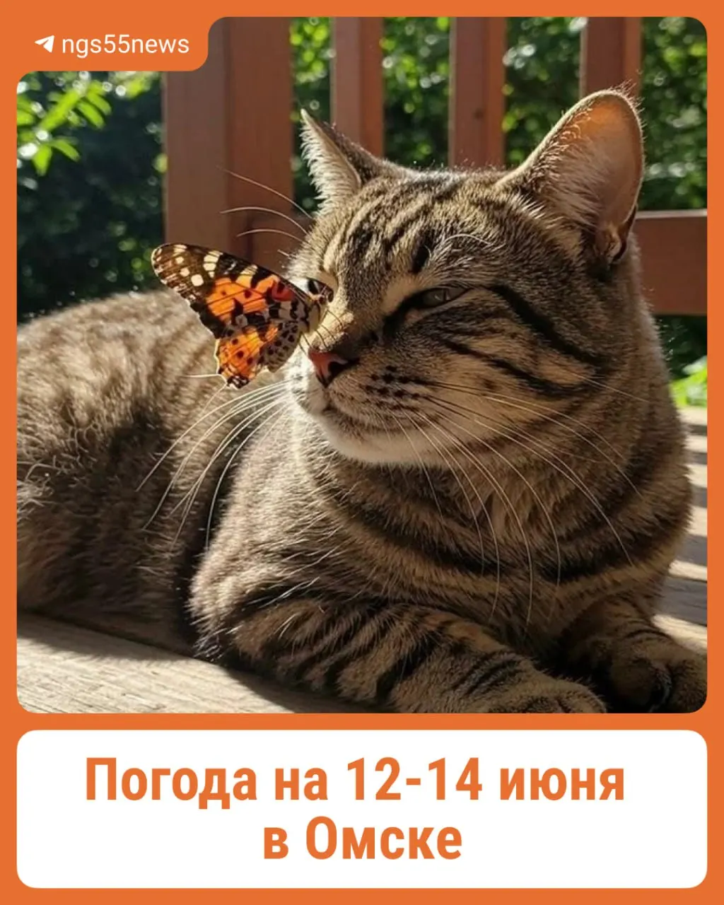 Короткий прогноз: суббота тёплая и без дождя, в воскресенье и в понедельник возможны дожди; днём температура +22…+24 °C.