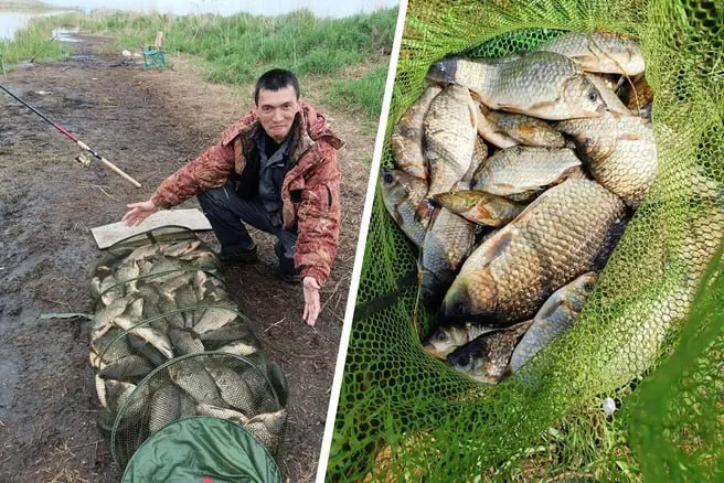Четверо рыбаков в конце мая вернулись с уловом примерно 130 кг: домой забрали около 80 кг, остальную рыбу отпустили. В других местах региона тоже заметили хороший клёв.