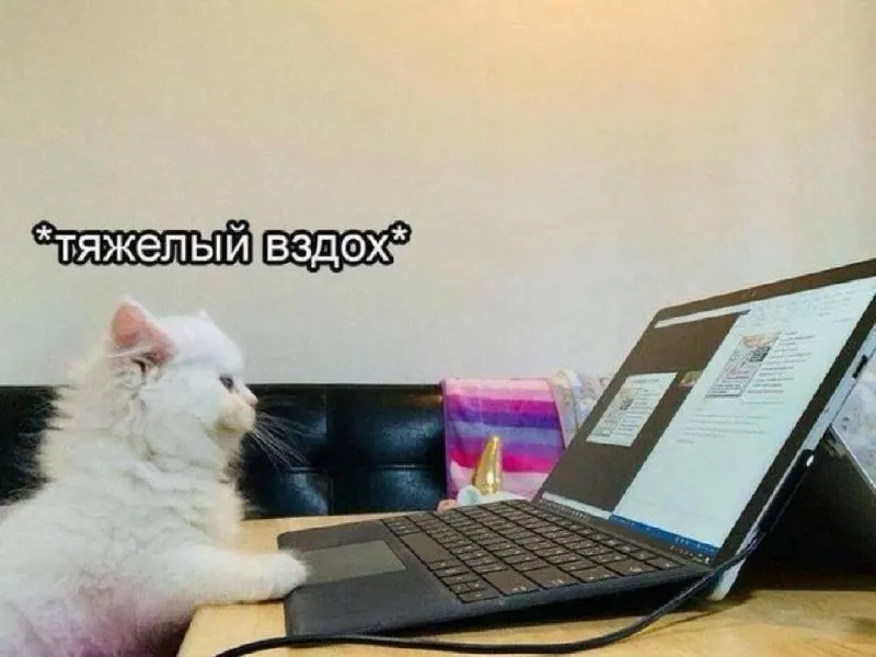 Министр труда Антон Котяков заявил, что переход на четырёхдневку сейчас не планируется; эксперт предупреждает, что снижение рабочей недели при низкой производительности может привести к падению производства.