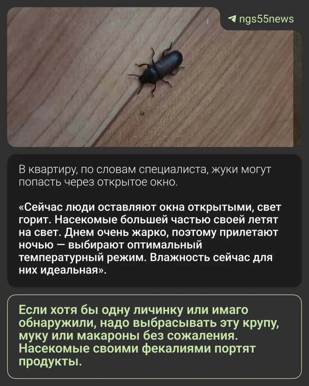 Жители Омска находят в кухнях чёрных жуков, вероятно хрущаков. Декан агротехнологического факультета ОмГАУ объяснил, чем питаются насекомые и как поступать с заражёнными крупами.