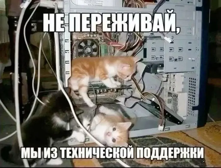 Жители Ленинского округа сообщают о перебоях с электричеством: без кондиционеров и светофоров на отдельных улицах. Энергокомпания называет причину технологическим нарушением и обещает восстановить подачу до 18:00.