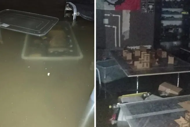 В цокольном помещении дома на Гагарина, 2 прорвало трубу с горячей водой: вода поднялась выше колен, серьезно повреждены интерьер и игровое имущество — ущерб оценивают в сотни тысяч рублей.