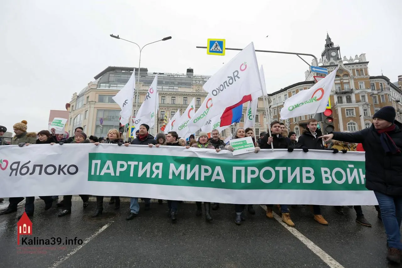 Регистрация федерального списка «Яблока» вызвала обсуждение: власти могли разрешить участие, чтобы направить протестные настроения в контролируемое русло. При этом многие известные кандидаты партии лишены возможности баллотироваться.