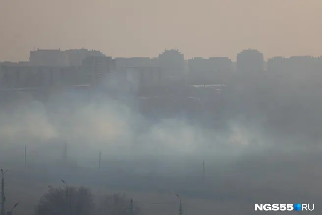 Ведомство потребовало ужесточить контроль за соблюдением нормативов выбросов оксида углерода на стационарных источниках муниципального предприятия в Омске.