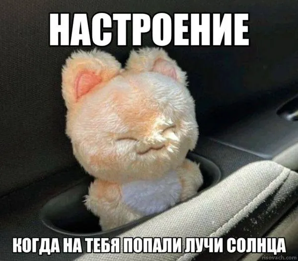 В рейтинге городов по числу солнечных дней Чита лидирует с 244 днями в году. В список также вошли Хабаровск, Якутск, Улан-Удэ, Владивосток, Астрахань, Омск, Уфа, Краснодар и Иркутск.