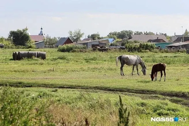 РЭК объясняет формирование тарифов на питьевую воду: различия по районам и причины высокого уровня платежей.