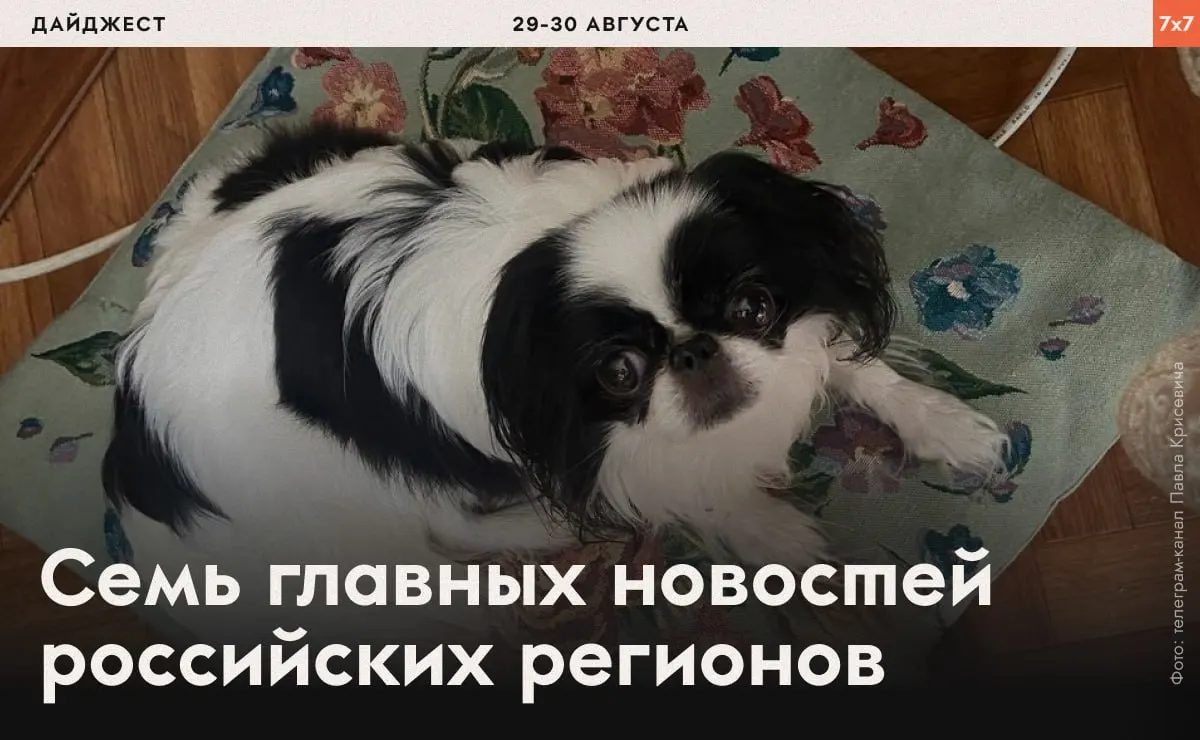 Подборка последних эпизодов давления на активистов, арестов, агитационных запретов и региональных ограничений по стране.