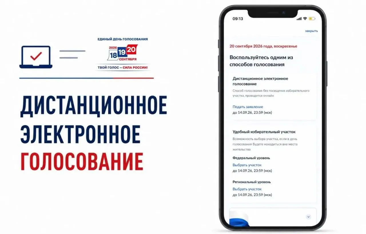 Раскрываются опасения по поводу достоверности и контроля над процессом дистанционного голосования в России.