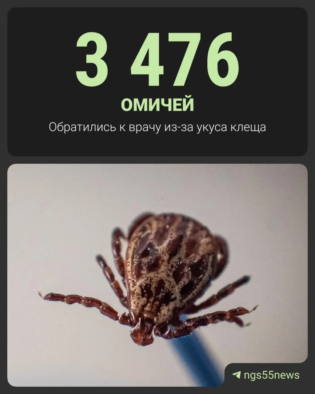 По данным Роспотребнадзора, пострадали более 3000 человек, среди которых 1126 детей. В лабораторных анализах клещей выявлены возбудители болезней и вирусы.