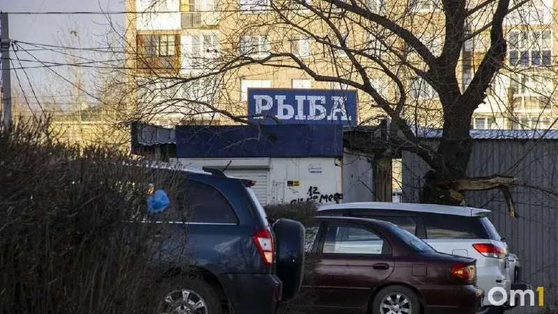 В июле путассу стала самой доступной рыбой: цена 82 рубля за килограмм; далее следуют сельдь, тюлька и килька, а мойва дорожает.