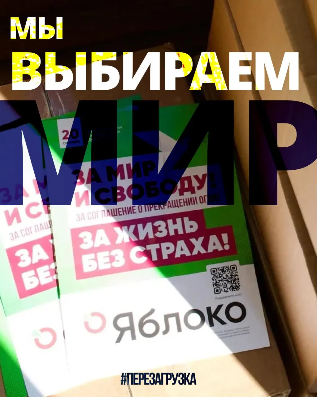 Кампания партии охватывает 53 региона: на карте можно выбрать регион и узнать своих кандидатов за мир и свободу. Подача апелляции в Верховный суд и растущая поддержка отмечены на пути к выборам.