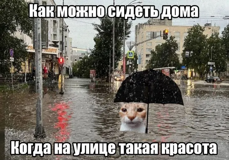 Вечером и завтра в Омской области ожидаются сильные ливни, порывы ветра и вероятность града. Рекомендуется учитывать ухудшение погоды при планировании дел и соблюдать меры предосторожности.