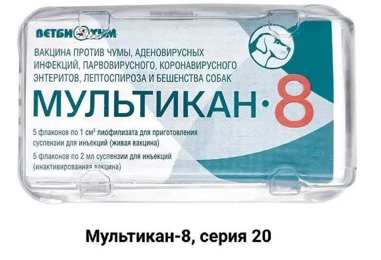 Владельцы погибших животных требуют прозрачного расследования после гибели собак после прививки препаратом «Мультикан-8» и независимого анализа вакцины, а также реакции со стороны производителей и властей.