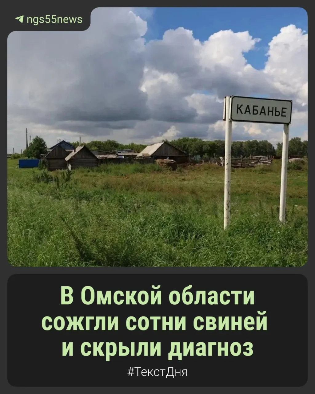 Опасная инфекция достигла 12 районов региона, включая Кабанье в Калачинском районе; зафиксированы массовые гибели свиней и сжигание туш, власти молчат.