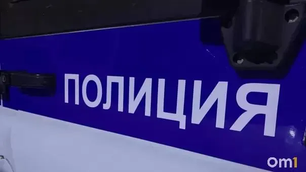 Омичка стала жертвой мошеннической схемы в интернете при покупке щенка мальтипу: перевела 109 тысяч рублей, питомца не получила. Подозреваемая задержана.