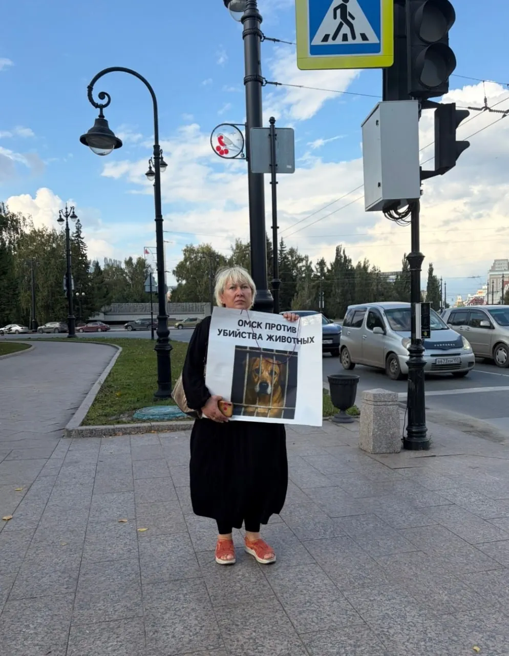 Жительницы Омска вышли к мэрии с протестами против изменений в приюте и возможной судьбы сотрудников.