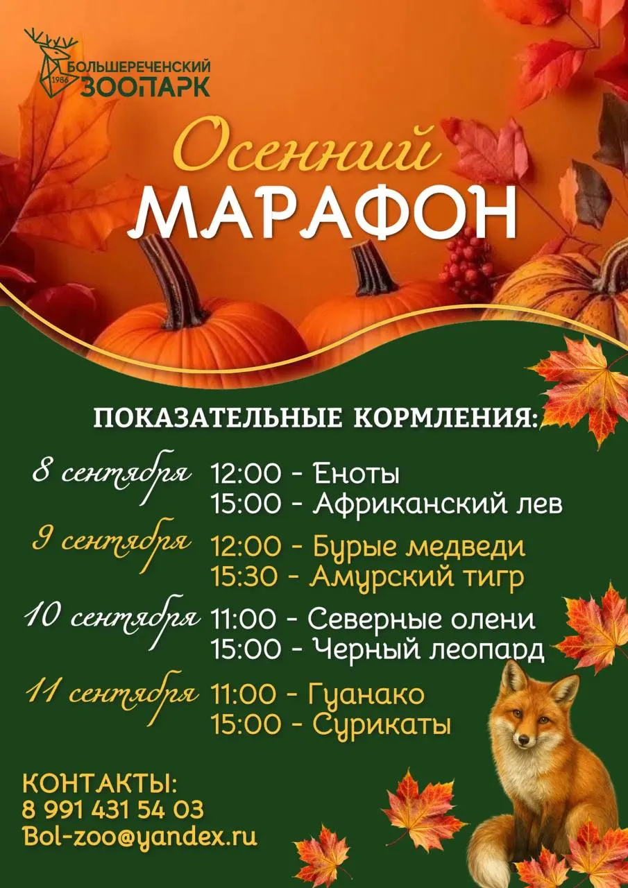С 8 по 11 сентября зоопарк приглашает посетителей на показательные кормления животных дарами осени. Расписание приведено ниже.