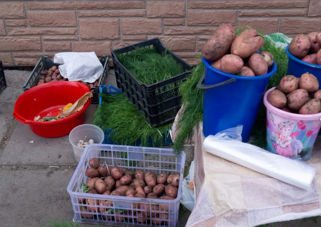 За год в Омске сахар подорожал на 23,7%, картофель — на 23,4%; лук — на 18,3%; мясо — курица +10,2%, баранина +9,7%; часть товаров подешевела.