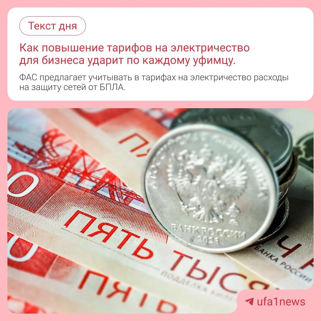 Расчет тарифов может учитывать затраты сетевых компаний на безопасность сетей против беспилотников, что может сказаться на цене электроэнергии.