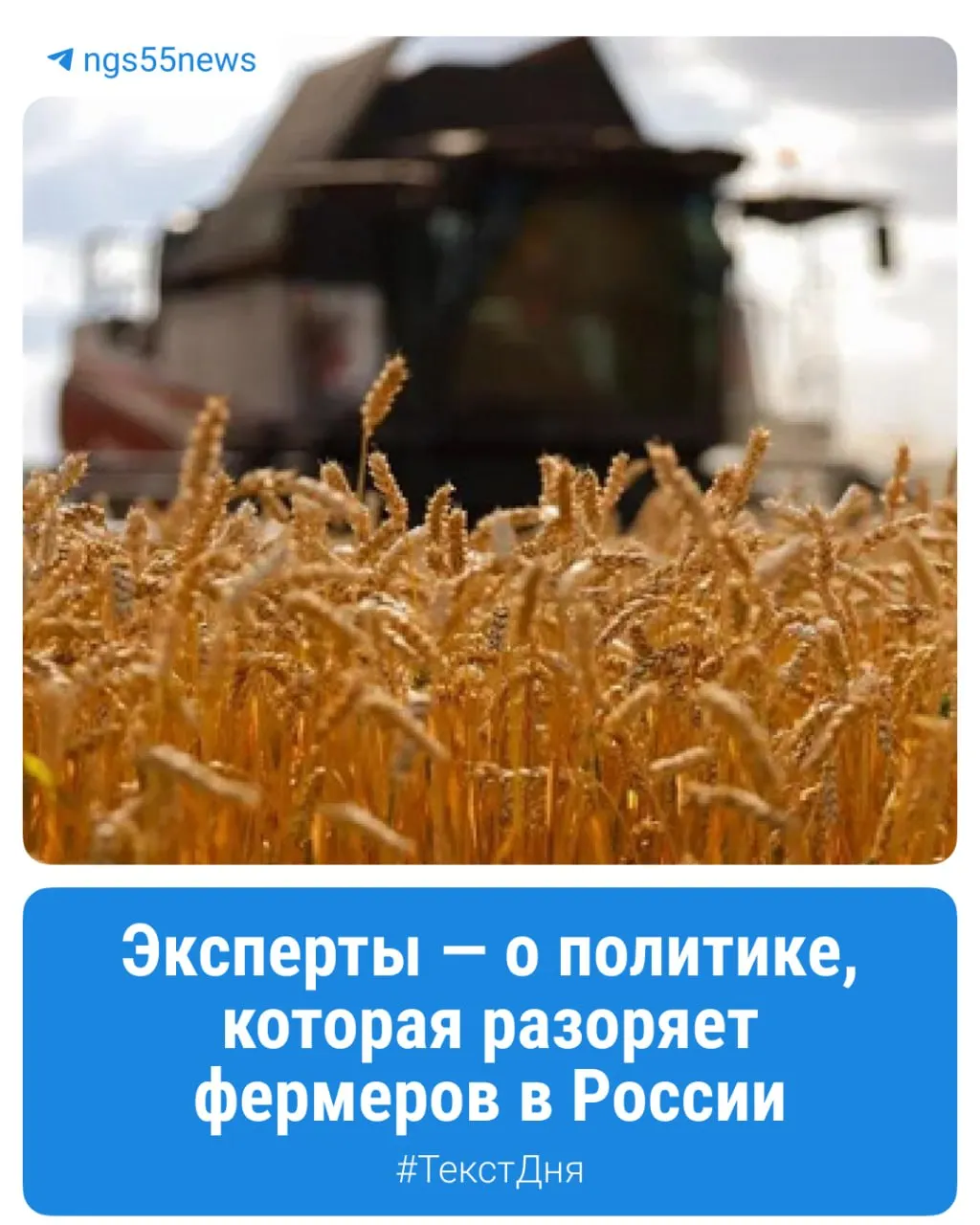 Фермеры Омской области сталкиваются с кризисом: себестоимость производства превышает закупочную цену, сотни хозяйств закрываются.