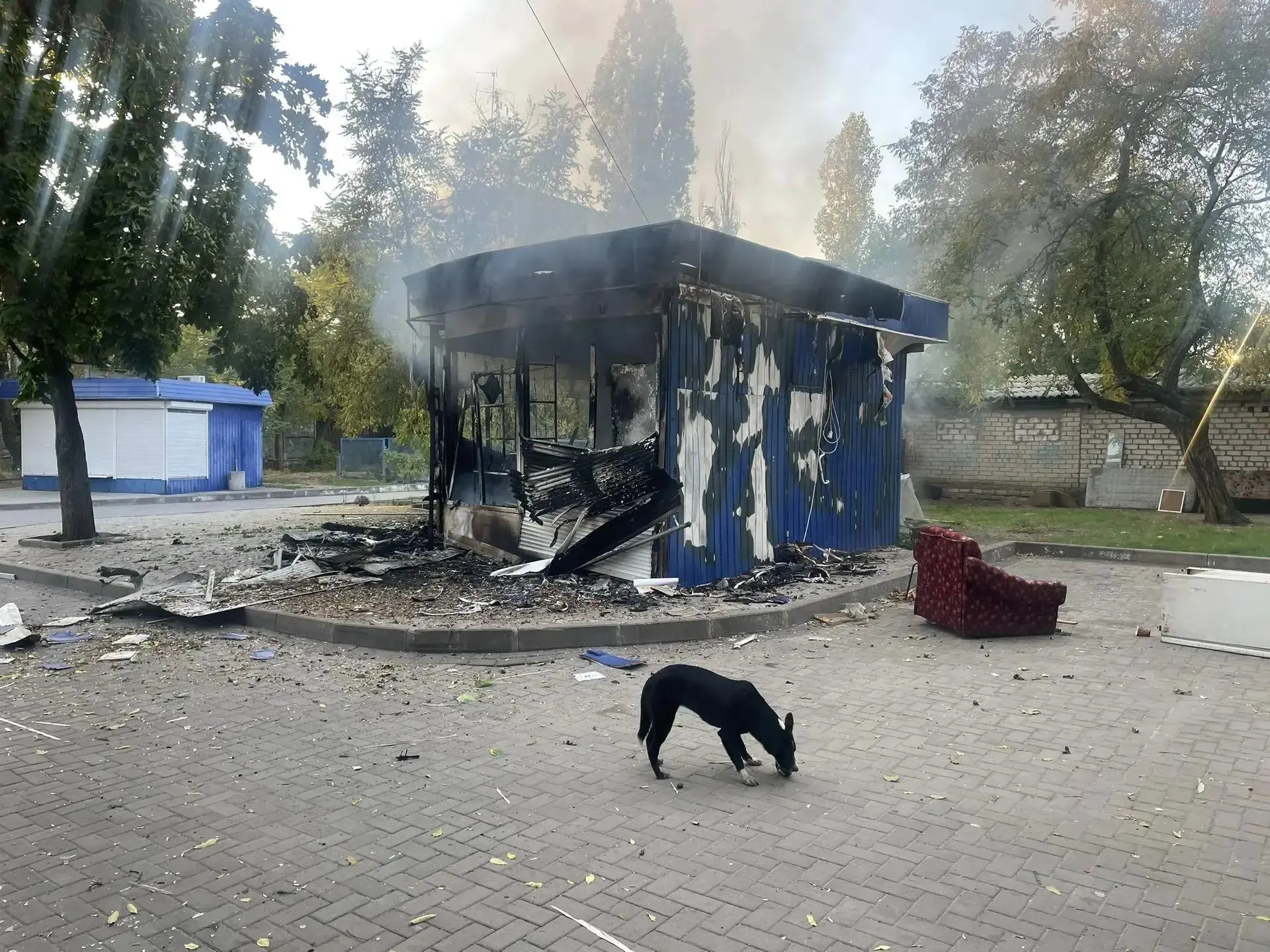Удары беспилотников за ночь охватили территорию от Воронежской области до Татарстана; сосредоточение в центральной части страны сопровождается потерями.