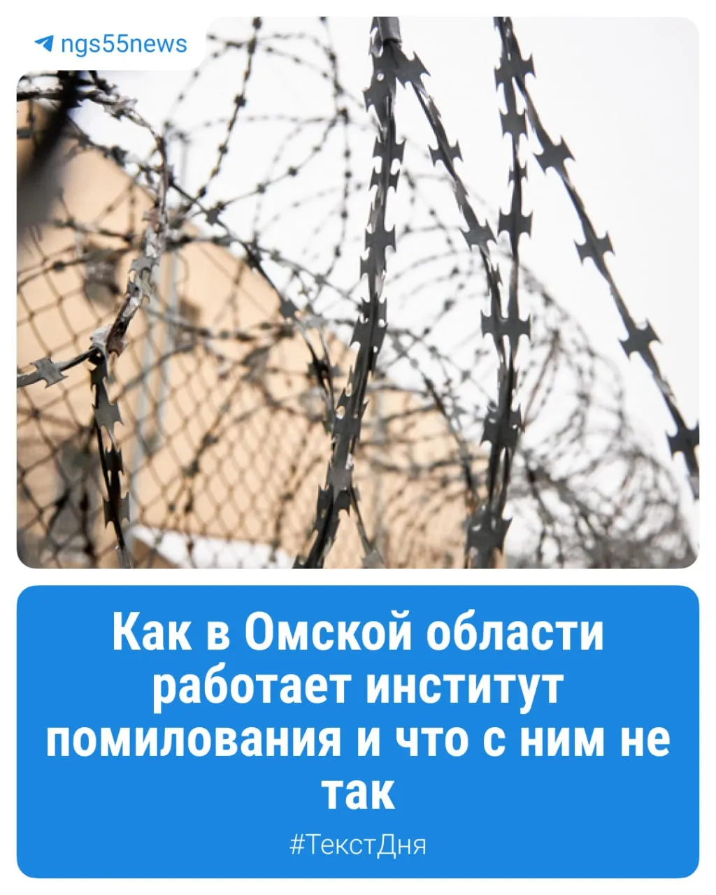 Разбор механизма помилования: от комиссии до подписания губернатором, с акцентом на региональные особенности Омской области.